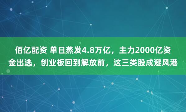 佰亿配资 单日蒸发4.8万亿，主力2000亿资金出逃，创业板回到解放前，这三类股成避风港